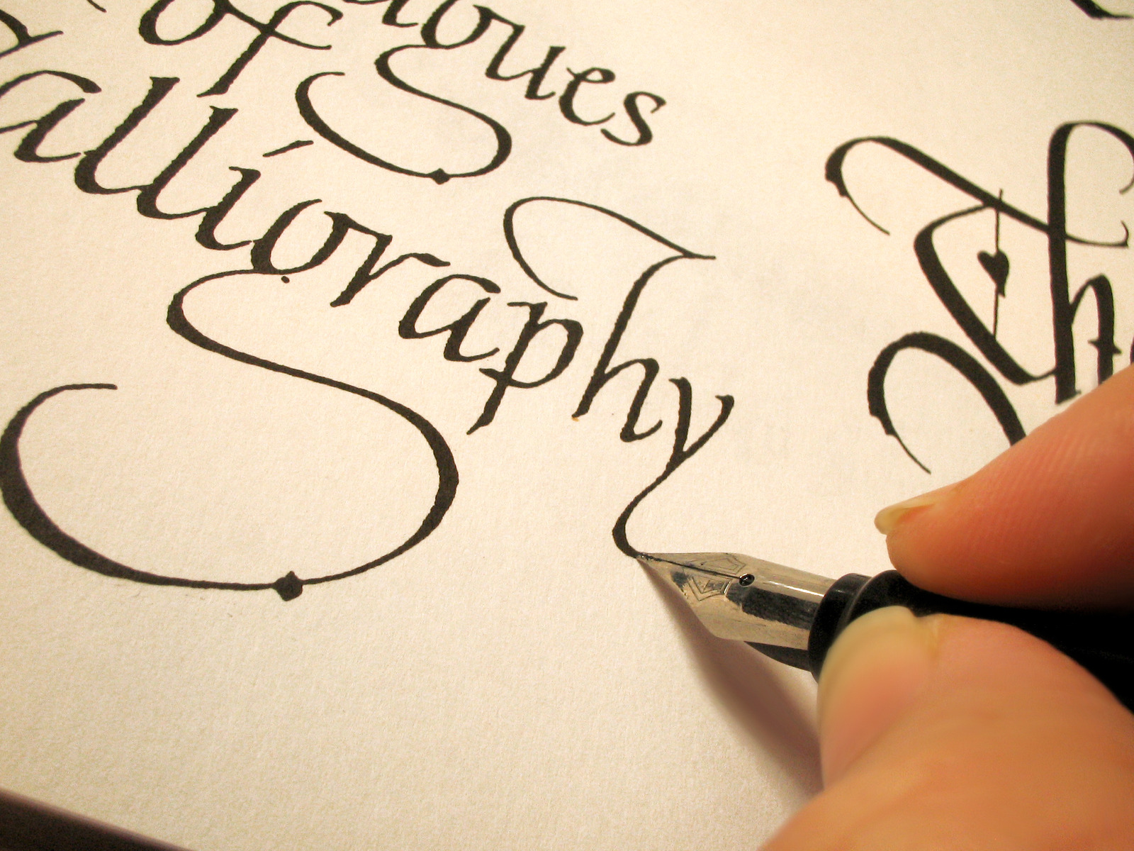 Calligraphy Study